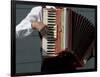 Street Accordionist, Prague, Czech Republic-David Barnes-Framed Photographic Print