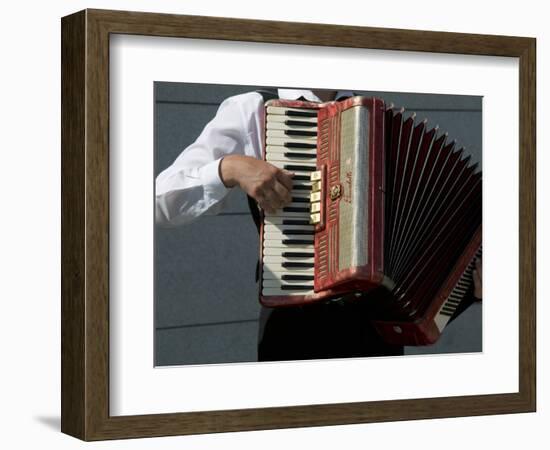 Street Accordionist, Prague, Czech Republic-David Barnes-Framed Photographic Print