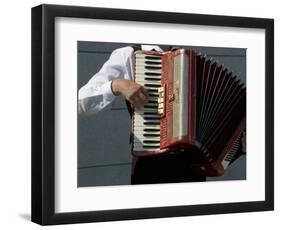 Street Accordionist, Prague, Czech Republic-David Barnes-Framed Photographic Print