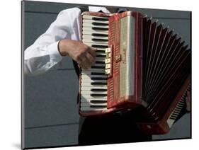 Street Accordionist, Prague, Czech Republic-David Barnes-Mounted Photographic Print