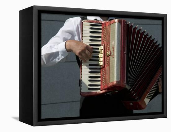 Street Accordionist, Prague, Czech Republic-David Barnes-Framed Stretched Canvas