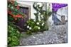 Street Along Obidos, Leiria, Portugal-Julie Eggers-Mounted Photographic Print