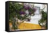 Street Along Obidos, Leiria, Portugal-Julie Eggers-Framed Stretched Canvas