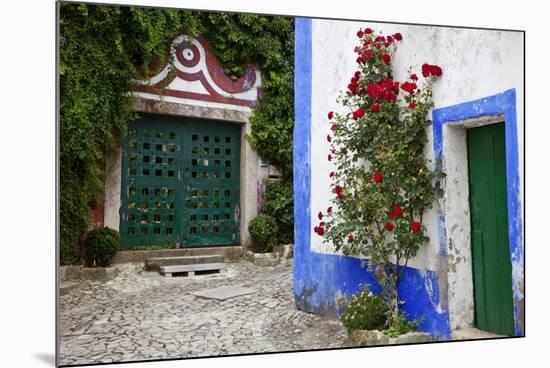 Street Along Obidos, Leiria, Portugal-Julie Eggers-Mounted Photographic Print