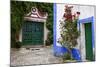Street Along Obidos, Leiria, Portugal-Julie Eggers-Mounted Photographic Print