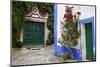 Street Along Obidos, Leiria, Portugal-Julie Eggers-Mounted Photographic Print