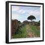 Street and Buildings in the Roman Town of Ostia, 2nd Century-CM Dixon-Framed Photographic Print