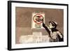 Street Art is a Crime-Banksy-Framed Giclee Print