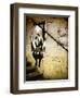 Street Art - Paris - France-Philippe Hugonnard-Framed Premium Photographic Print