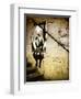 Street Art - Paris - France-Philippe Hugonnard-Framed Photographic Print