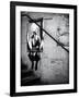 Street Art - Paris - France-Philippe Hugonnard-Framed Photographic Print