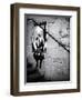 Street Art - Paris - France-Philippe Hugonnard-Framed Photographic Print