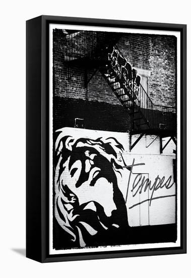 Street Art - Tempest - Manhattan - New York - United States-Philippe Hugonnard-Framed Stretched Canvas