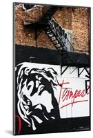 Street Art - Tempest - Manhattan - New York - United States-Philippe Hugonnard-Mounted Photographic Print