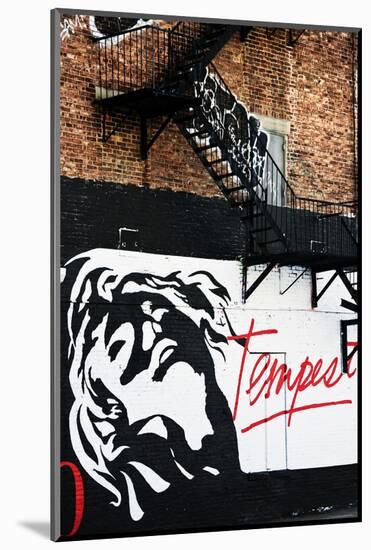 Street Art - Tempest - Manhattan - New York - United States-Philippe Hugonnard-Mounted Photographic Print