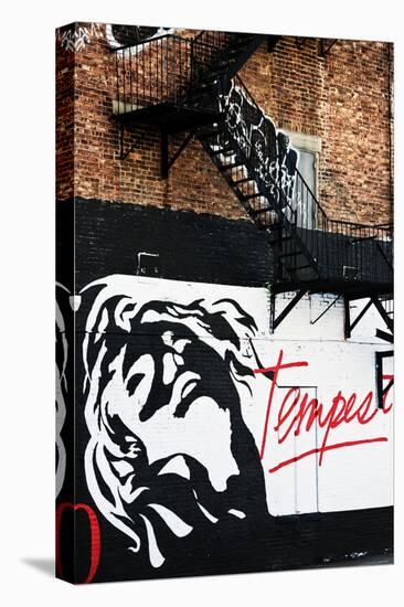 Street Art - Tempest - Manhattan - New York - United States-Philippe Hugonnard-Stretched Canvas