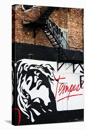 Street Art - Tempest - Manhattan - New York - United States-Philippe Hugonnard-Stretched Canvas