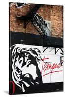 Street Art - Tempest - Manhattan - New York - United States-Philippe Hugonnard-Stretched Canvas