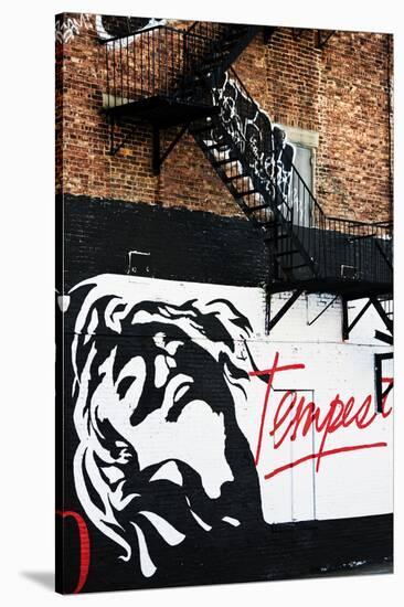 Street Art - Tempest - Manhattan - New York - United States-Philippe Hugonnard-Stretched Canvas