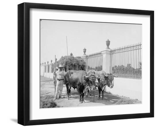 Photo, , large
