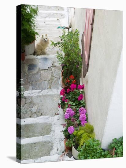 Street Detail, Vathy, Samos, Aegean Islands, Greece-Walter Bibikow-Stretched Canvas