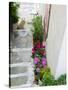 Street Detail, Vathy, Samos, Aegean Islands, Greece-Walter Bibikow-Stretched Canvas