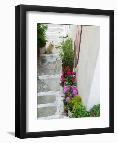 Street Detail, Vathy, Samos, Aegean Islands, Greece-Walter Bibikow-Framed Photographic Print