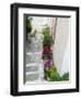 Street Detail, Vathy, Samos, Aegean Islands, Greece-Walter Bibikow-Framed Photographic Print