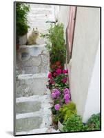 Street Detail, Vathy, Samos, Aegean Islands, Greece-Walter Bibikow-Mounted Photographic Print