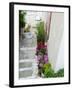 Street Detail, Vathy, Samos, Aegean Islands, Greece-Walter Bibikow-Framed Photographic Print