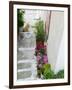 Street Detail, Vathy, Samos, Aegean Islands, Greece-Walter Bibikow-Framed Photographic Print