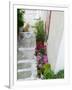 Street Detail, Vathy, Samos, Aegean Islands, Greece-Walter Bibikow-Framed Photographic Print