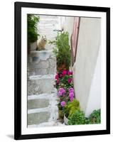 Street Detail, Vathy, Samos, Aegean Islands, Greece-Walter Bibikow-Framed Photographic Print