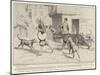 Street Dogs Barking at a Dancing Bear and His Keeper in Constantinople-null-Mounted Giclee Print