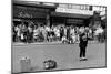 Street Entertainer-null-Mounted Photographic Print