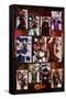 Framed Canvas