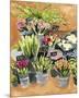 Street Florist I-Annie Warren-Mounted Premium Giclee Print