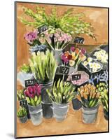 Street Florist I-Annie Warren-Mounted Art Print