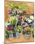 Street Florist I-Annie Warren-Mounted Art Print