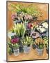 Street Florist I-Annie Warren-Mounted Art Print