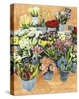 Street Florist II-Annie Warren-Stretched Canvas