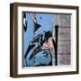 Street Flow I-Nicola Katsikis-Framed Art Print