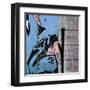 Street Flow I-Nicola Katsikis-Framed Art Print