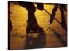 Street Hockey-Lee Kopfler-Stretched Canvas