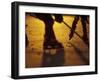 Street Hockey-Lee Kopfler-Framed Photographic Print