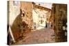 Street in Arezzo-Francesco Vinea-Stretched Canvas