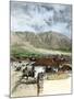 Street in Bogota, Columbia, 1880s-null-Mounted Giclee Print