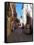 Street in Collioure France-Marilyn Dunlap-Framed Stretched Canvas