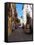 Street in Collioure France-Marilyn Dunlap-Framed Stretched Canvas