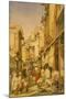 Street in Lahore, Punjab, India-William Carpenter-Mounted Giclee Print